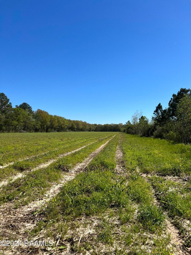 Tbd Mire Hwy, Rayne, LA 70578 - photo 2