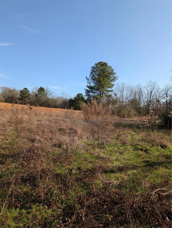 000 Mudline Rd, Eagletown, OK 74734 - photo 3