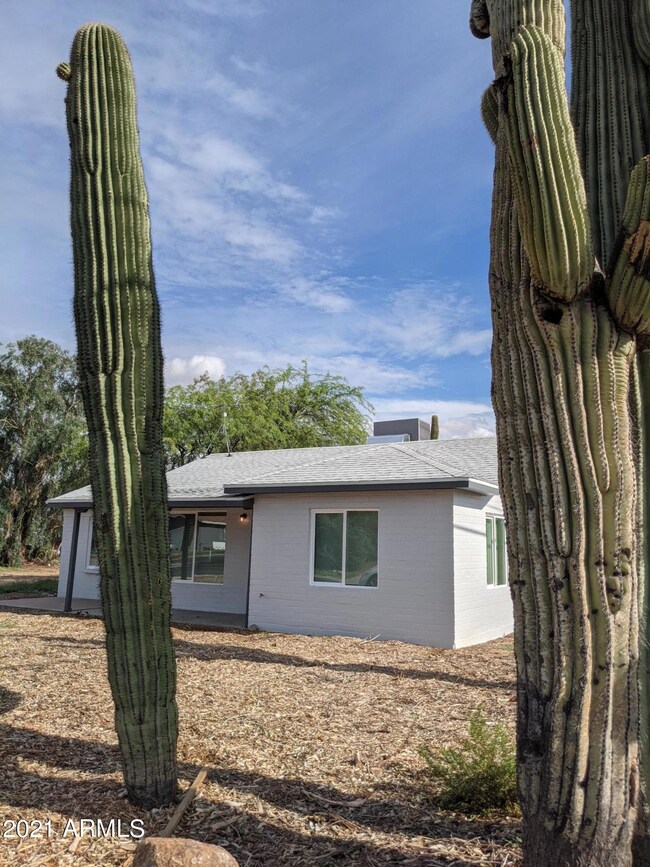 PXL_20210814_233257889