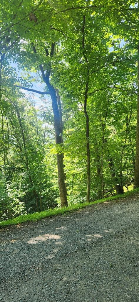 0 Mohawk Trail unit 406863, Ellijay, GA 30540 - photo 7