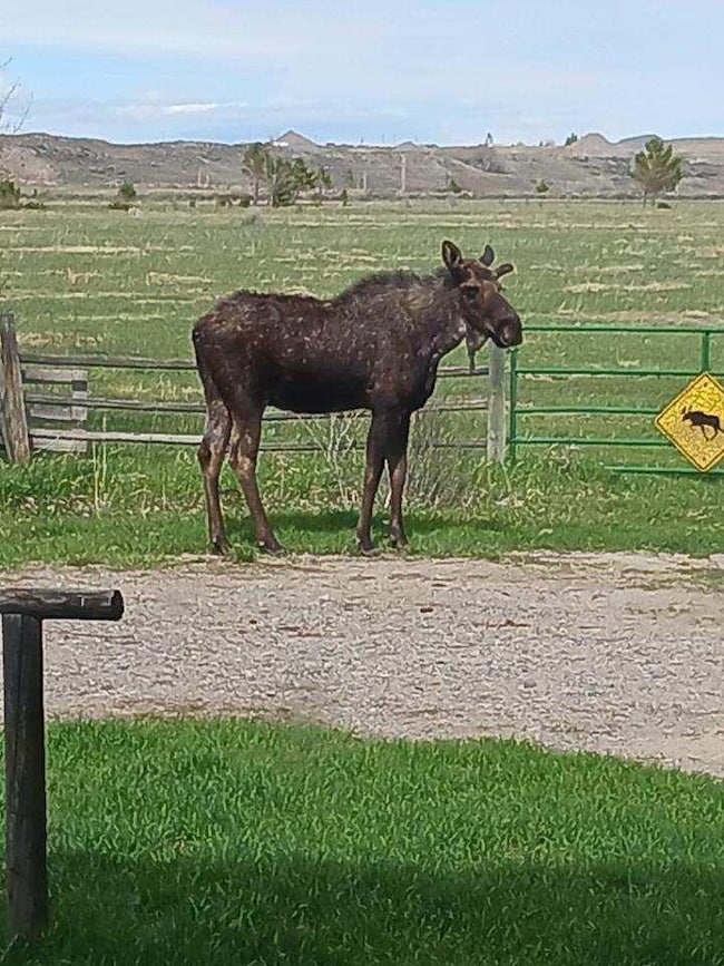 10332 Hwy 26 North Side, Kinnear, WY 82516 - photo 6