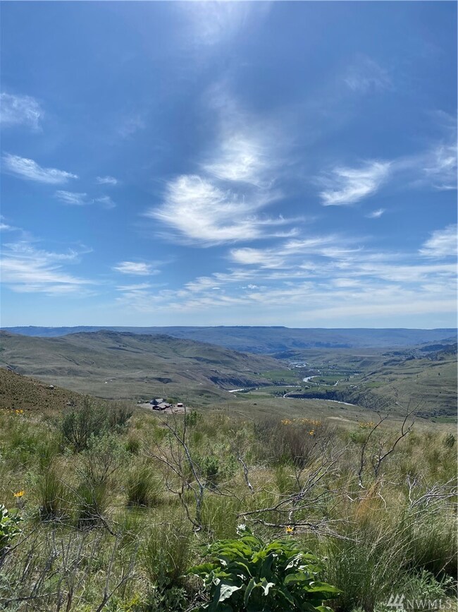 0 Lariat Lp unit 1594075, Methow, WA 98834 - photo 3