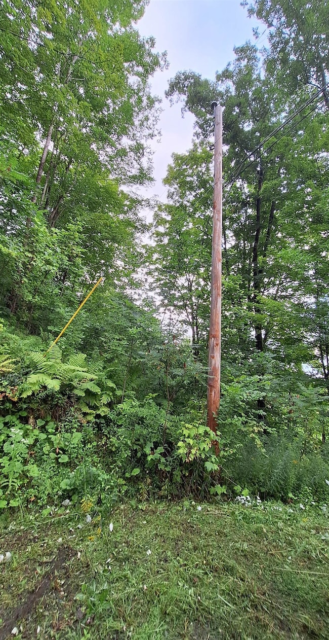 305 Cascade Rd, Danby, VT 05739 - photo 7