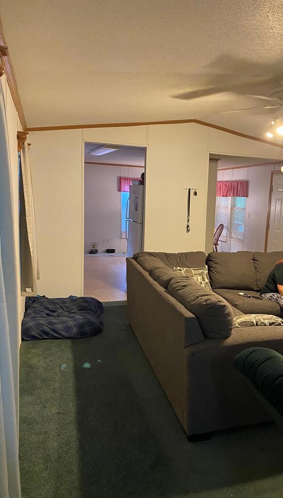 518 McNatt Falls Rd, Uvalda, GA 30473 - photo 4