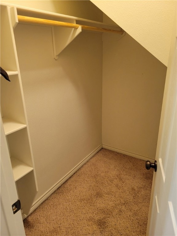 Spacious closet featuring carpet