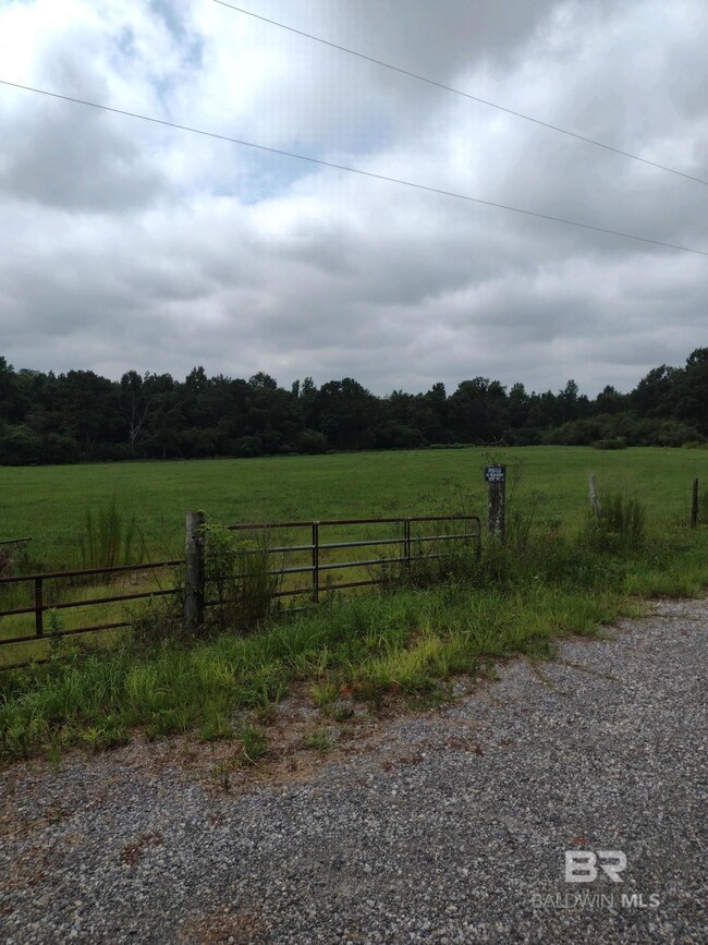 22200 Gap Weekly Rd, Perdido, AL 36562 - photo 5