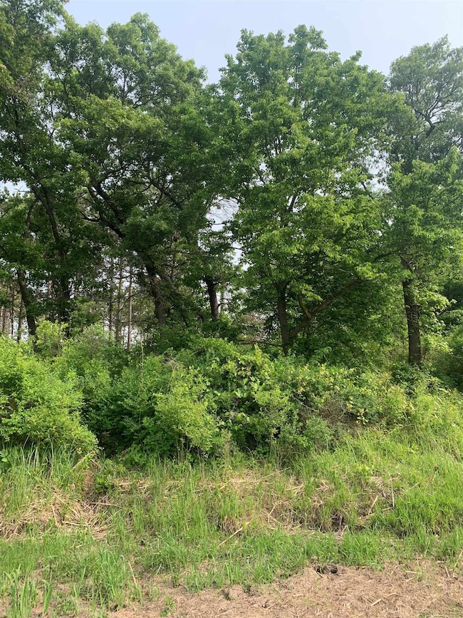1.22 AC Flowage Rd, Spring Green, WI 53588 - photo 4