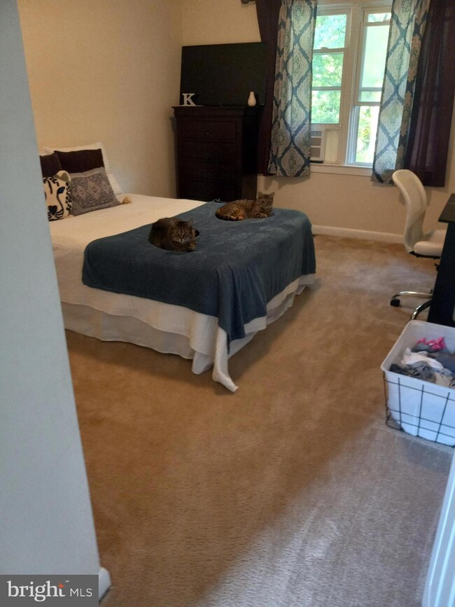 21345 Persimmon Dr, Chestertown, MD 21620 - photo 3