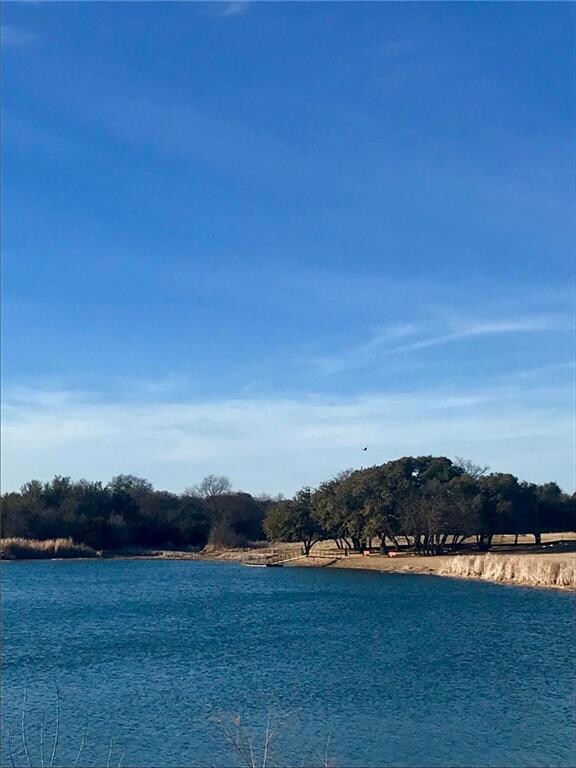 38030 Brookside Dr, Whitney, TX 76692 - photo 7