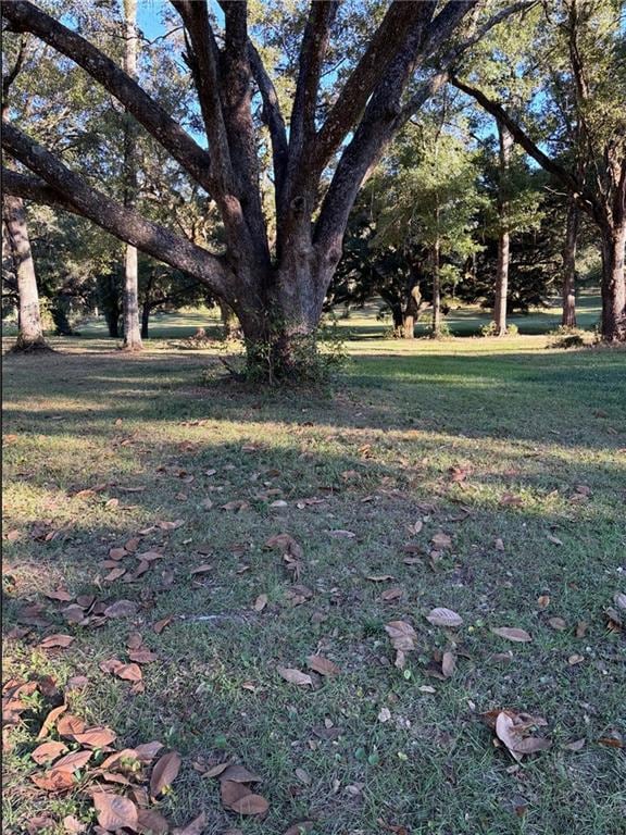 7317 Wigfield Rd, Mobile, AL 36619 - photo 3