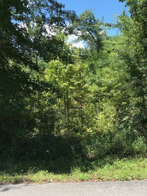 0 Mill Creek Rd, Crawfordville, FL 32327 - photo 4