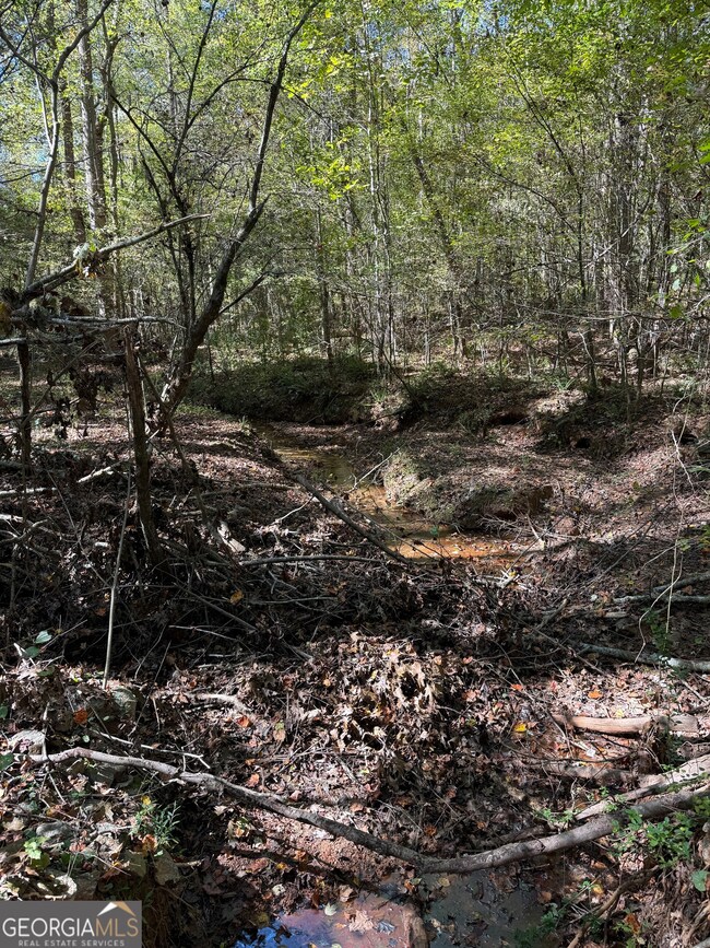 0 Erastus Church Rd unit 10647276, Commerce, GA 30530 - photo 6