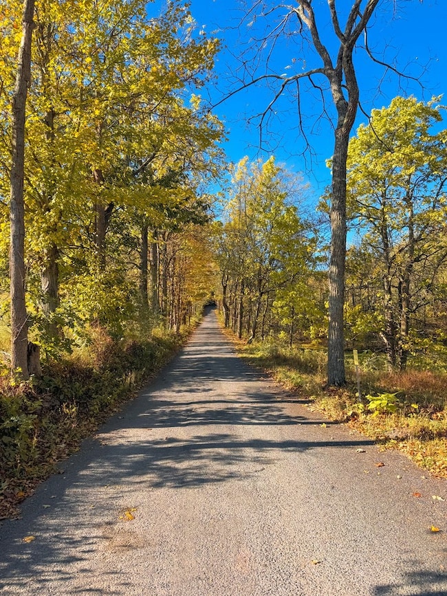 4175 Todd Pass, James Creek, PA 16657 - photo 3