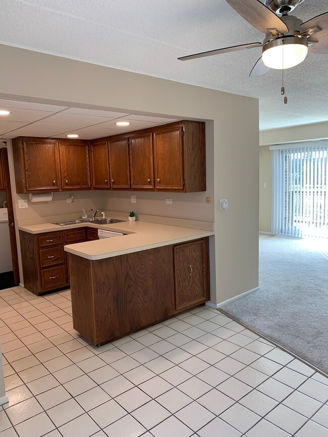 271 W 1st St unit 2A, Elmhurst, IL 60126 - photo 3