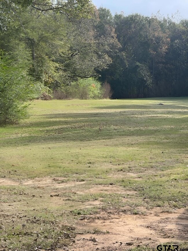 112 N Price St, Troup, TX 75789 - photo 5