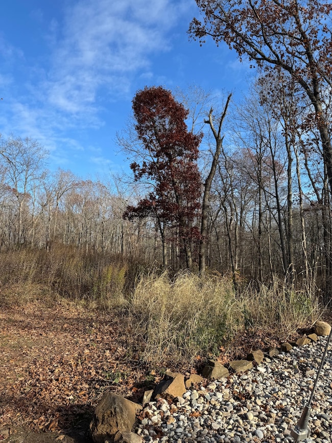 71 Hilltop Dr, Branford, CT 06405 - photo 5