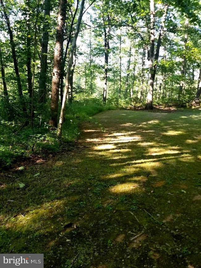 2296 Millwood Pike, Winchester, VA 22602 - photo 6