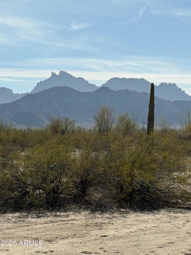 1275 557th Ave unit 128, Tonopah, AZ 85354 - photo 5