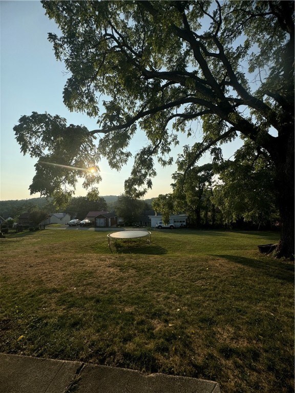 Back yard looking off back porch.