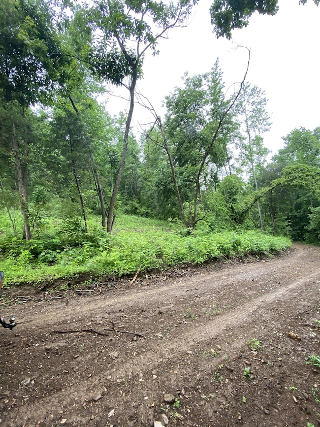 1300 Black Rd, Prospect, TN 38477 - photo 6