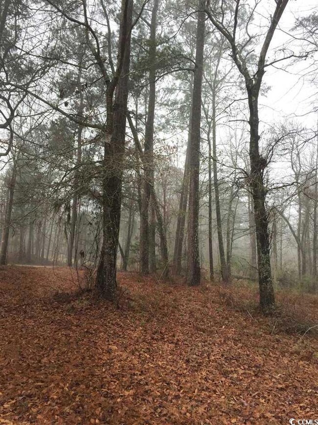 1028 Merritt Rd unit 1016 Merritt Road, Conway, SC 29526 - photo 5