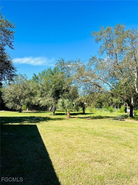 View of grassy yard with view of scattered trees