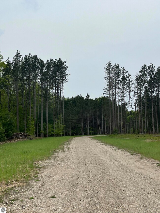 TBD Theron Rd unit D, Traverse City, MI 49685 - photo 2