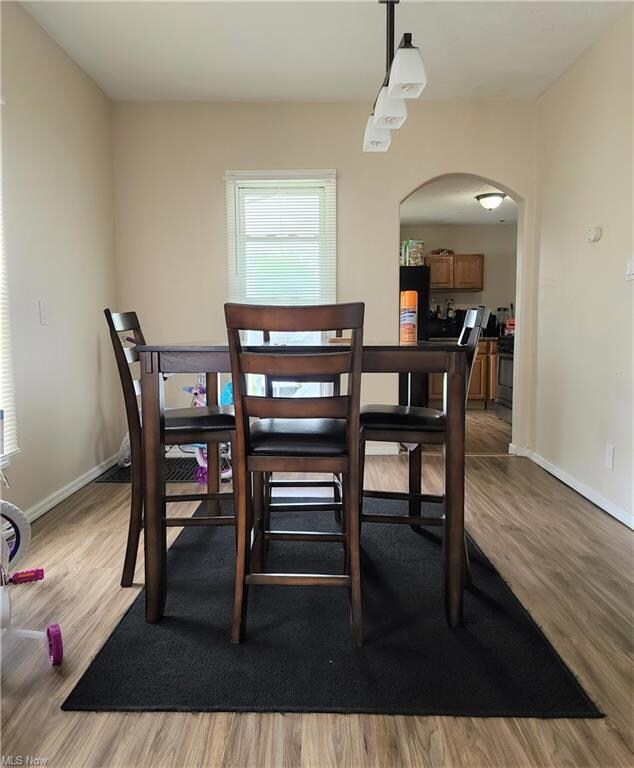 Down Stairs Diningroom