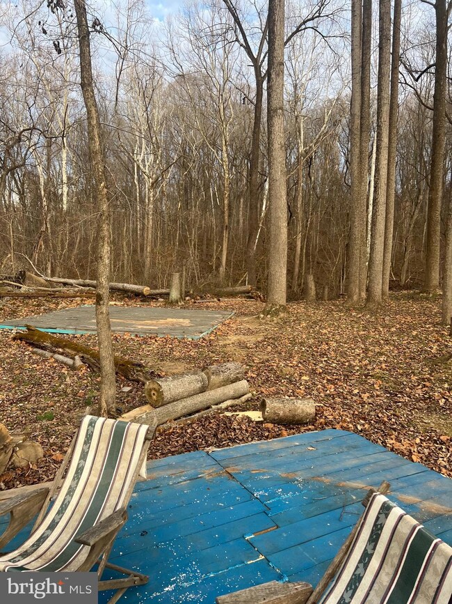 0 Palmyra Church Rd unit VASH2004984, Edinburg, VA 22824 - photo 2