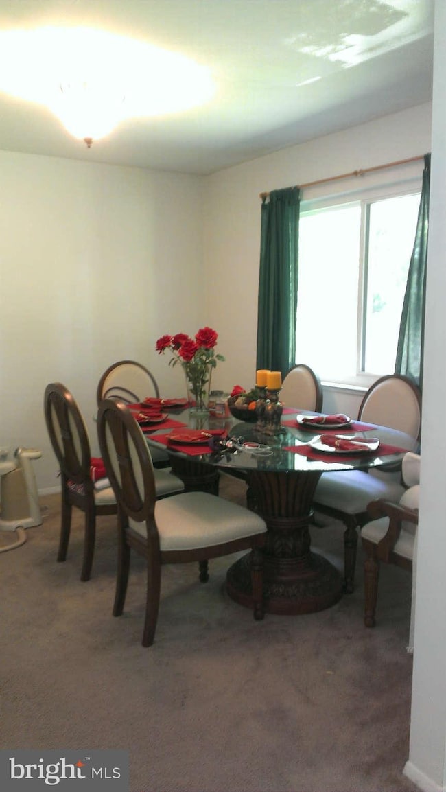 38 Ojibway Rd, Randallstown, MD 21133 - photo 6