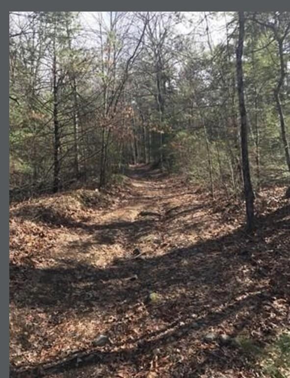 0 Ware St, Palmer, MA 01069 - photo 2