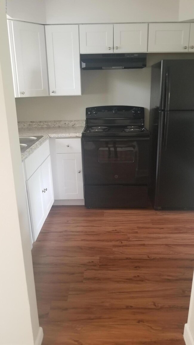 6810 Medellin Ct, Jacksonville, FL 32210 - photo 5