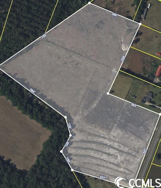 TBD Jasmine Rd, Loris, SC 29569 - photo 4