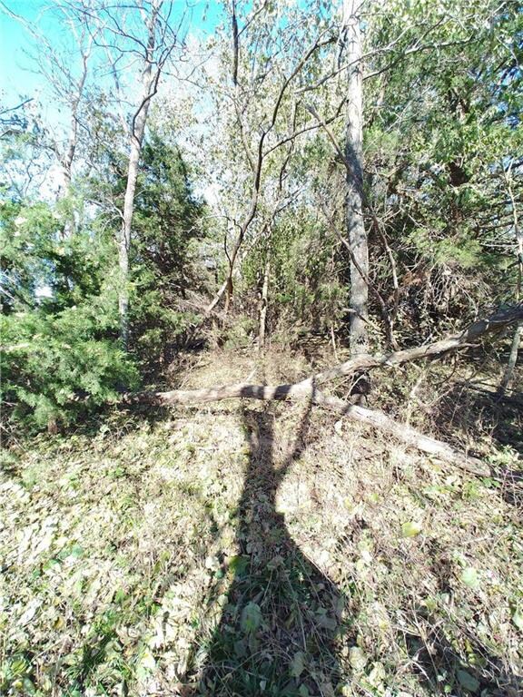 00000 W 379th St, Osawatomie, KS 66064 - photo 6