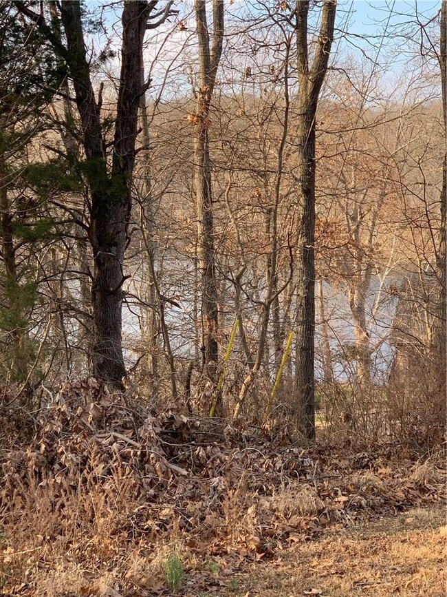 0 Kelham Ln, Bella Vista, AR 72715 - photo 3