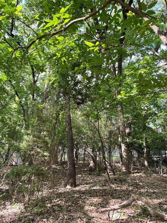 1410 E Lake Dr, Weatherford, TX 76087 - photo 3