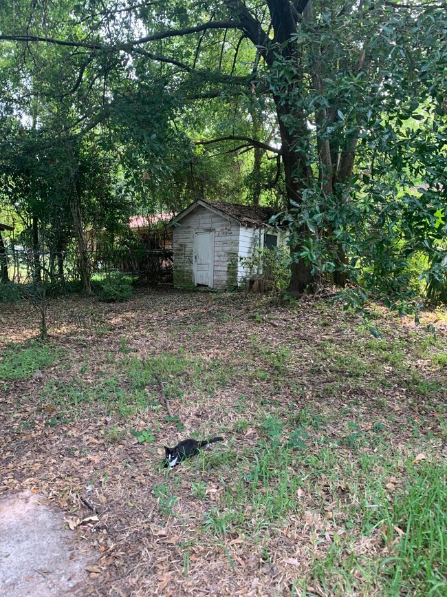 4615 Crescent St, Jacksonville, FL 32205 - photo 2