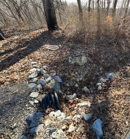 245 Taylor Ln, Stewart, TN 37175 - photo 3