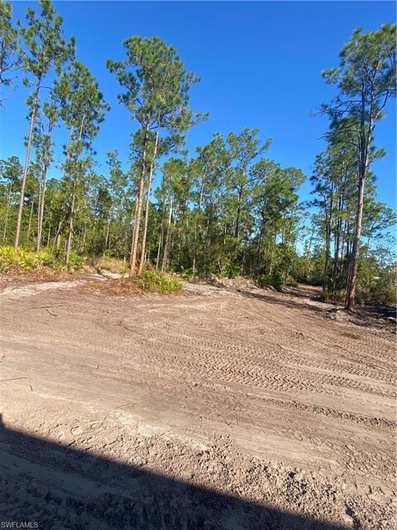 3437 70th Ave NE, Naples, FL 34120 - photo 7