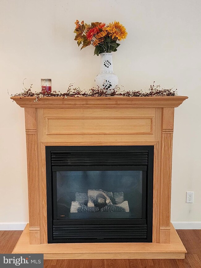 71 Mink Ct, Basye-Bryce Mountain, VA 22810 - photo 7