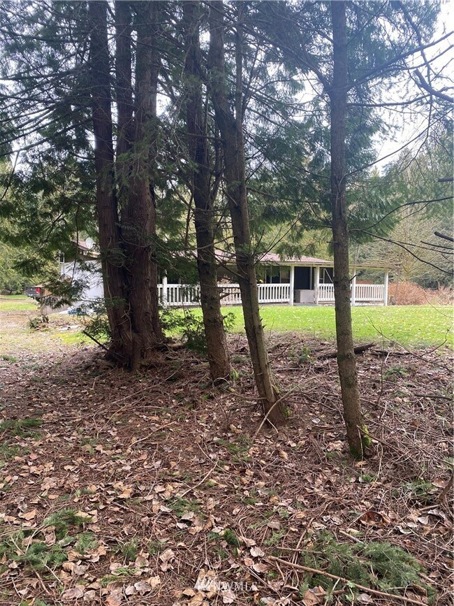 3023 Iverson Ln, Custer, WA 98240 - photo 2