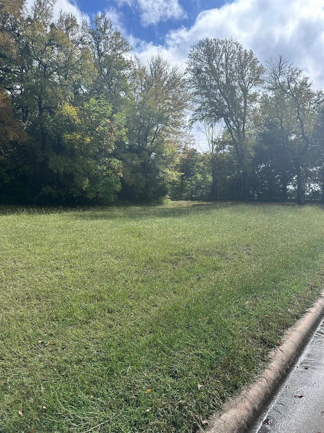 TBA Reba McEntire Ln, Denison, TX 75020 - photo 4