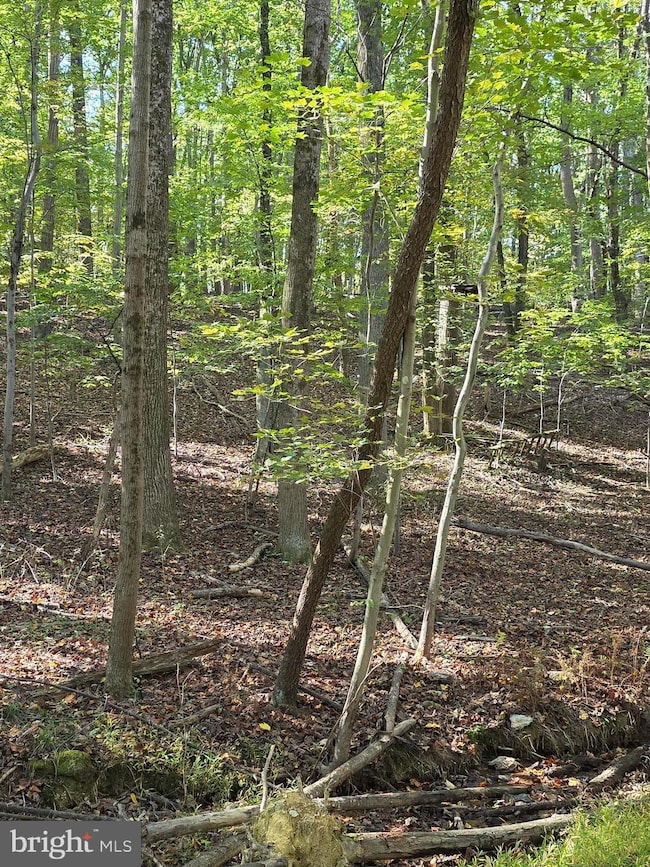 3816 A Jim Smith Ln, New Windsor, MD 21776 - photo 4