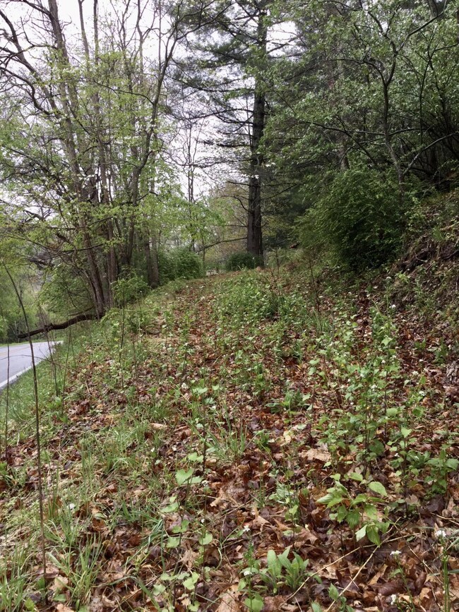 12949 Cass Rd, Cass, WV 24927 - photo 2