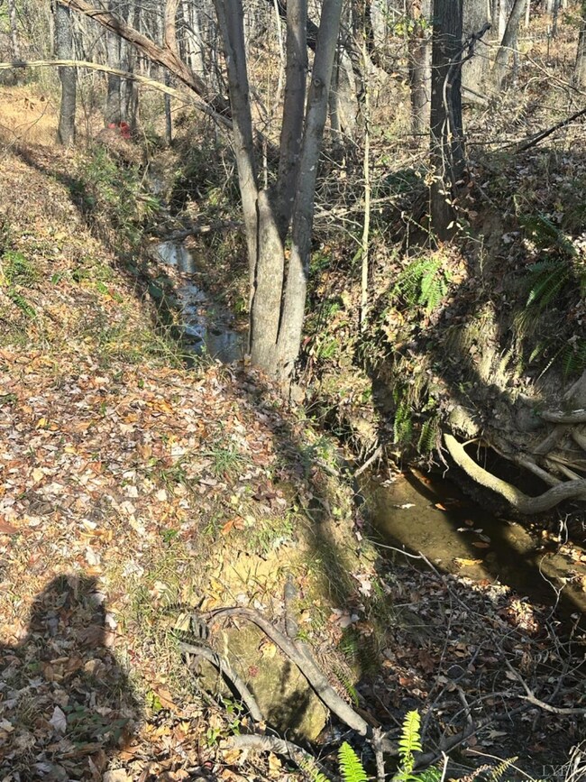 0 Lot 2b Police Tower Rd unit 363222, Appomattox, VA 24522 - photo 6
