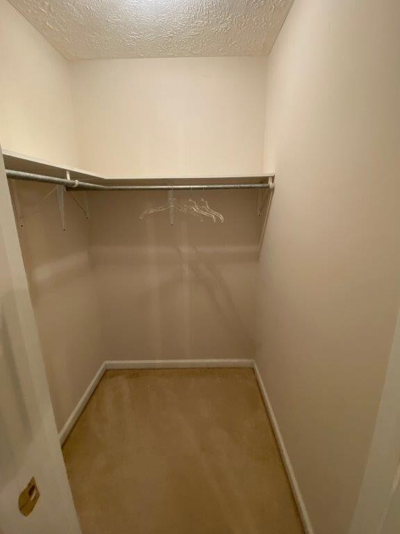 111 Stonefield Cir, Shelbyville, TN 37160 - photo 6