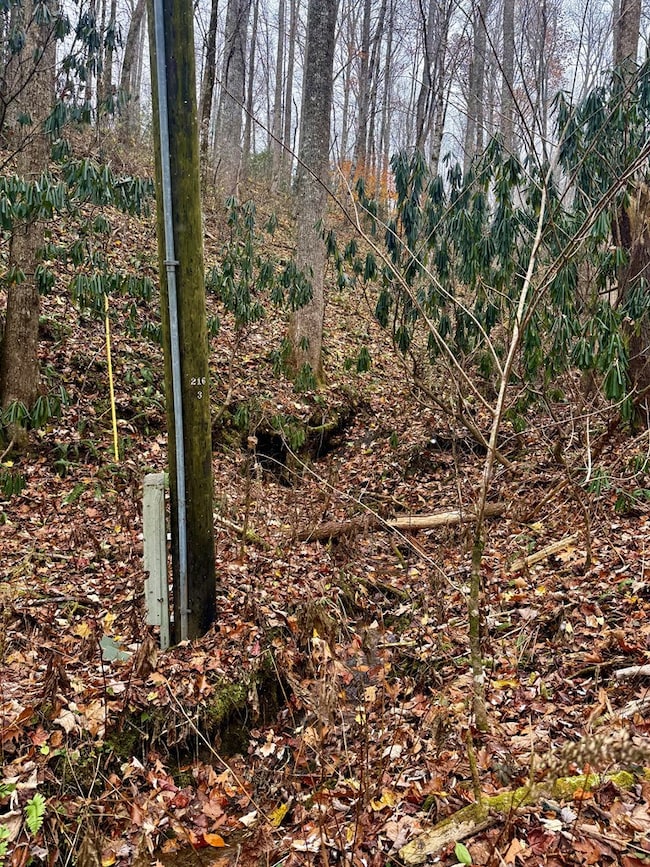 0 Henry Rd unit 26042658, Ellijay, NC 28734 - photo 5