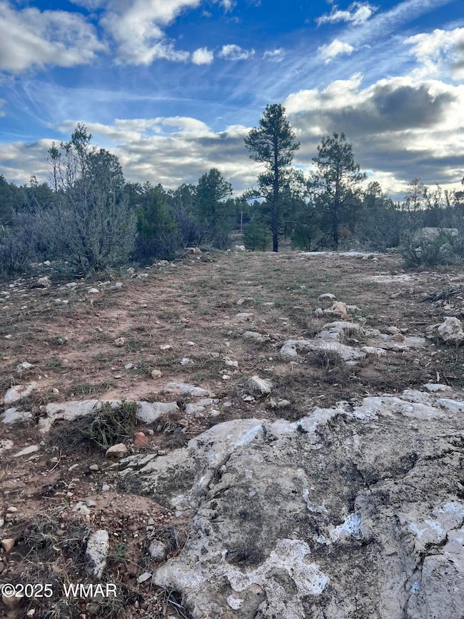 2820 Pine Hill Dr, Overgaard, AZ 85933 - photo 5