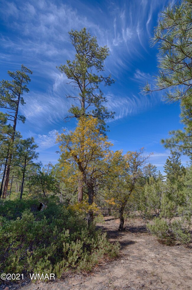 AP1A0924_HDR