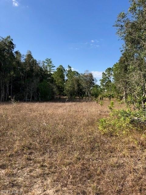 0 58th Ave NE unit 221012172, Naples, FL 34120 - photo 3